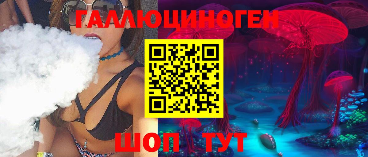 Псилоцибиновые грибы Psilocybe Ханты-Мансийск
